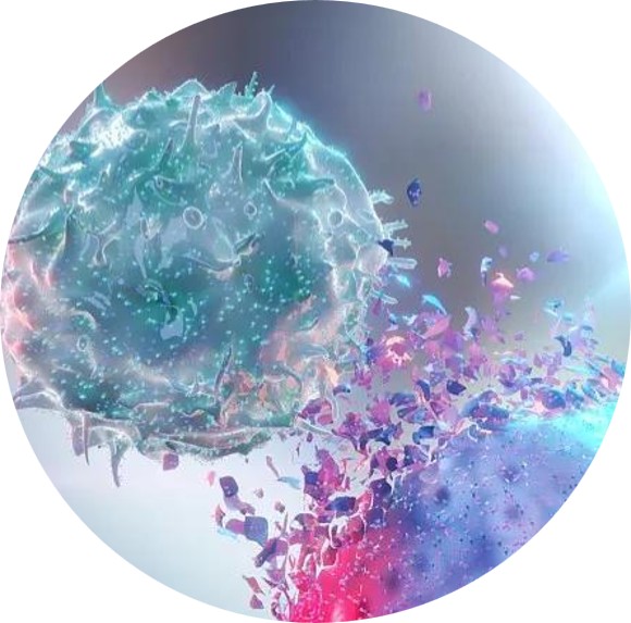 immune cell