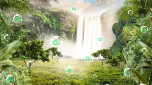 ionic environment